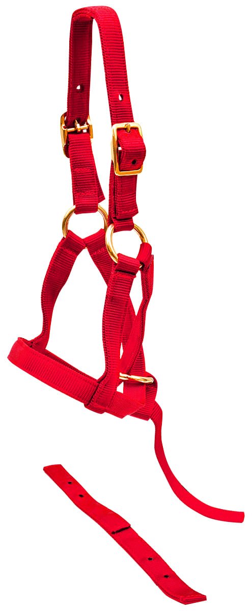 Jeffers Nylon "Grow With Me" Weanling Horse Halter